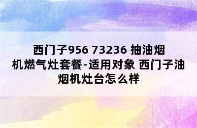 SIEMENS/西门子956+73236 抽油烟机燃气灶套餐-适用对象 西门子油烟机灶台怎么样